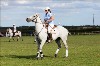 UKPA NC SAT_2827